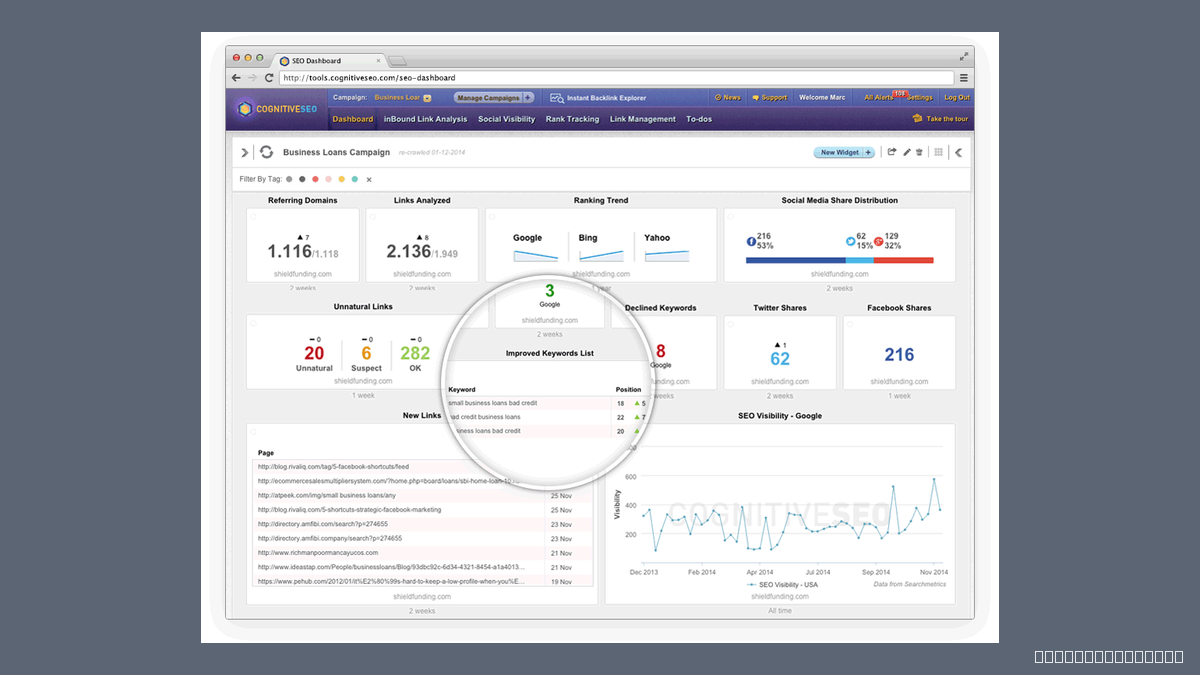 cognitiveSEO Review: The Link Audit Is Still Its Own, the Backlink Data Is Majestic's