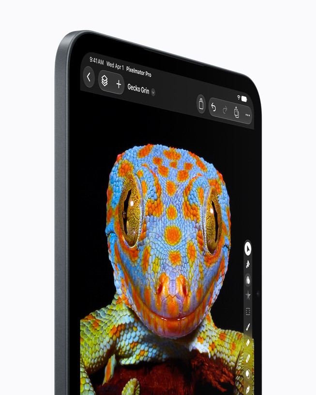 Close-up of the new iPad mini OLED display showing a detailed gecko photo