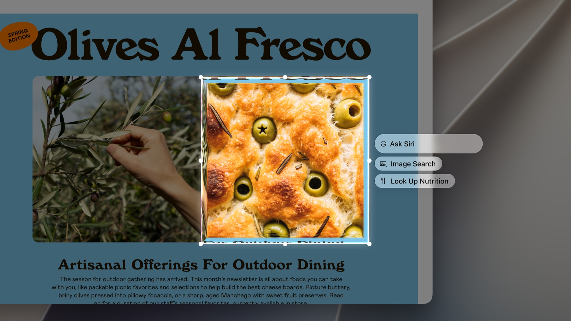 macOS Visual Intelligence menu offering Ask Siri, Image Search and Look Up Nutrition over a selected photo on a recipe webpage
