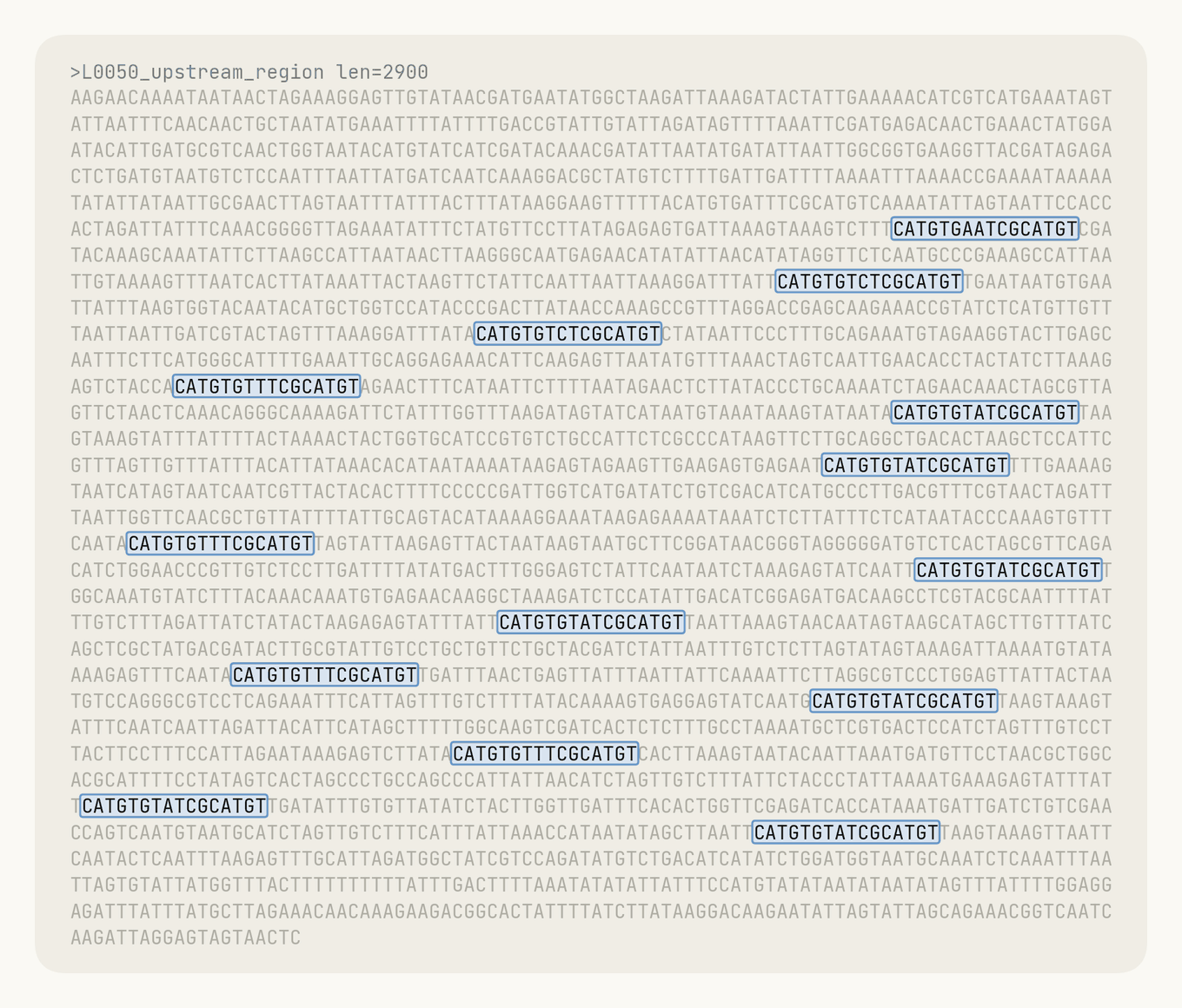 DNA sequence readout from Anthropic showing about 15 short repeat motifs highlighted at even intervals upstream of the reverse transcriptase gene, the CRISPR-like array Claude flagged