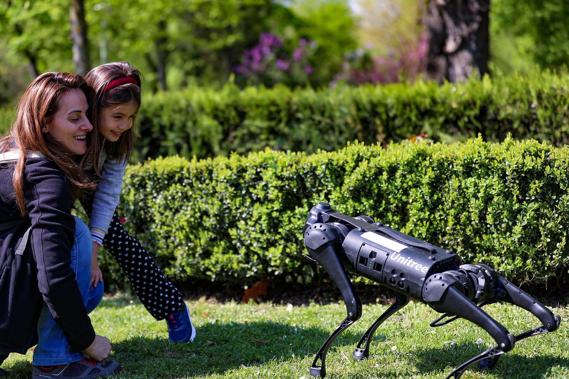 A Unitree quadruped robot on display alongside NATO and Romanian troops at Romanian Land Forces Day in Bucharest