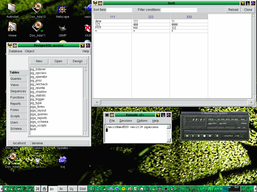 PgAccess, an early PostgreSQL graphical client, showing a table list and query results on a Linux desktop